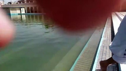 Historical talab pool at gudadwara  janam ashtahan nankana sahib Punjab Pakistan