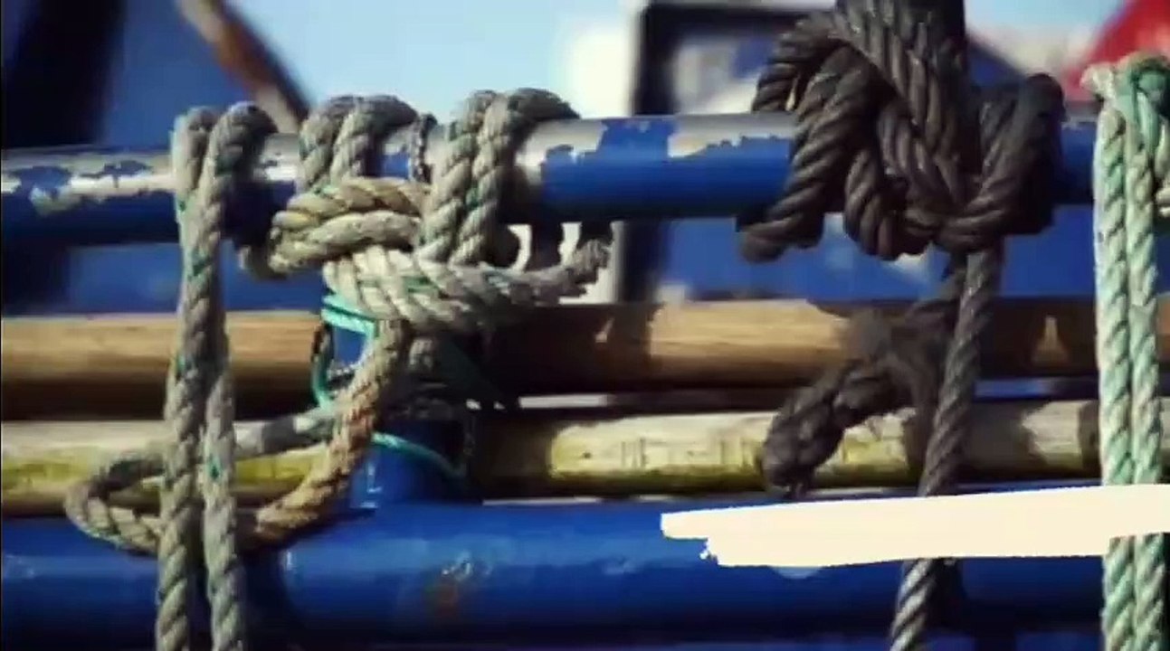 Mastering knots_ Practical and Decorative