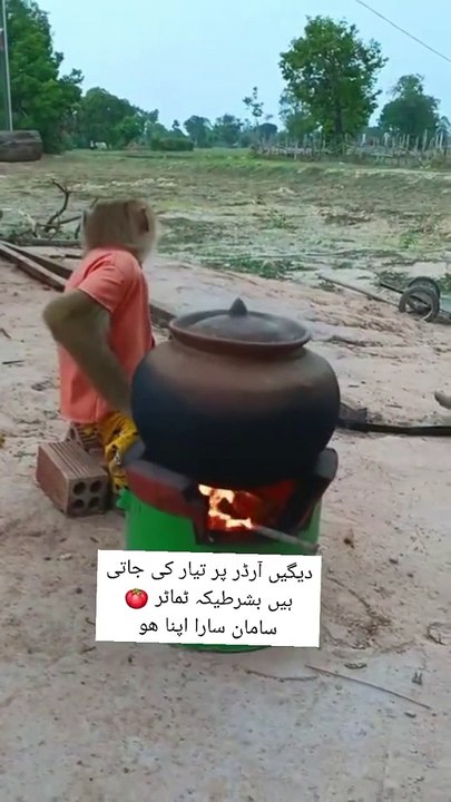 Very funny  video 