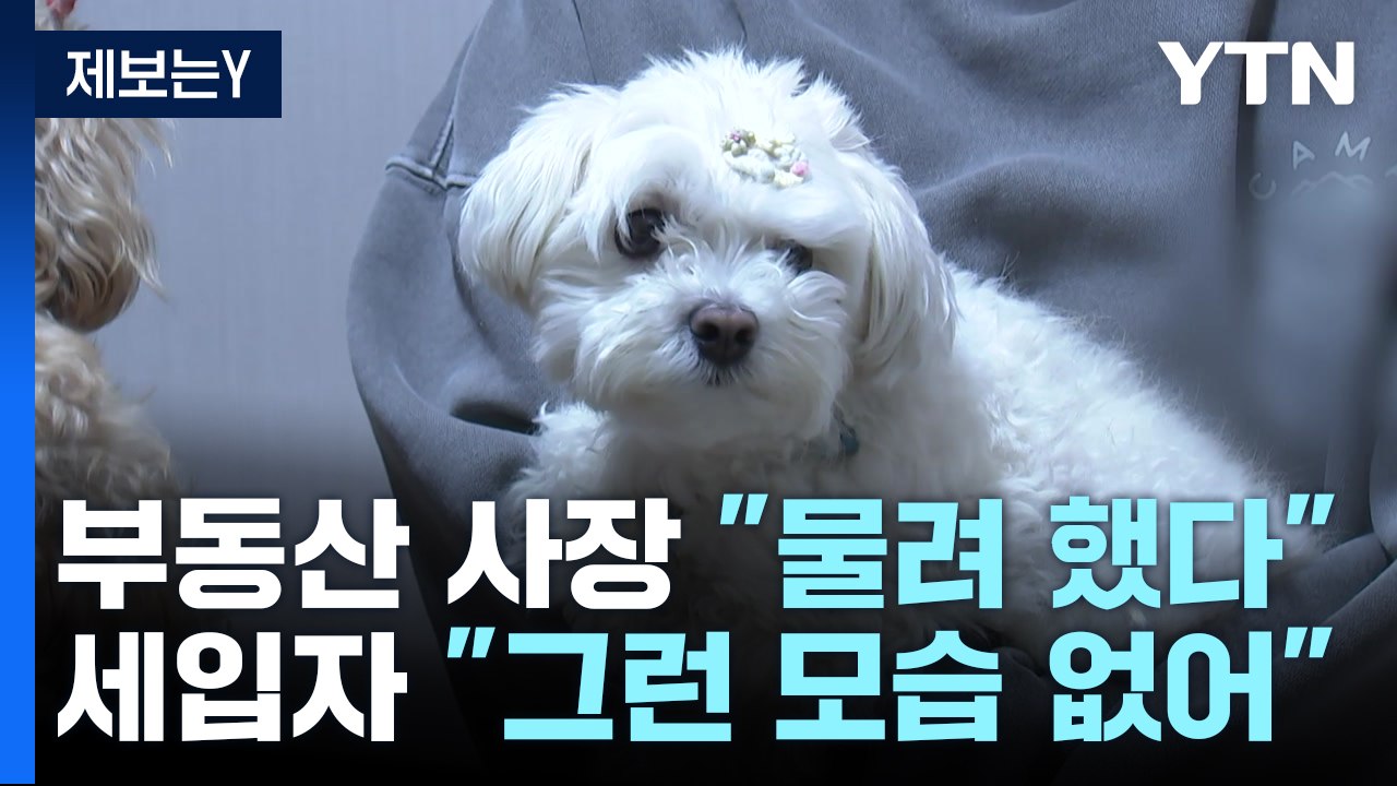[제보는Y] 강아지 던진 부동산 사장...항의했더니 "물려고 해서" / YTN