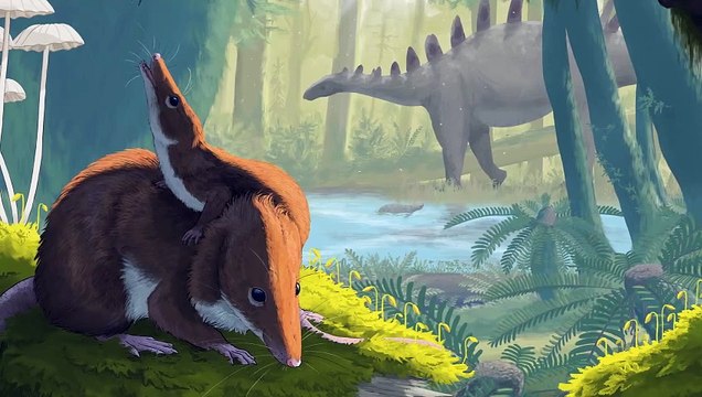 The mouse-sized mammal that lived alongside dinosaurs 166 million years ago on an ancient Scottish island