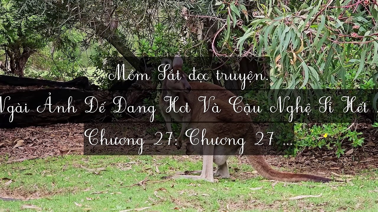Mới 2024 Chương 26-30: Ngài Ảnh Đế Đang Hot Và Cậu Nghệ Sĩ Hết Thời