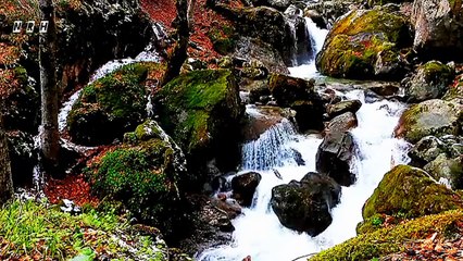 Relaxation video sweet water sound with beautiful natural fountain