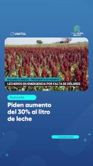 Piden aumento del 30% al litro de leche