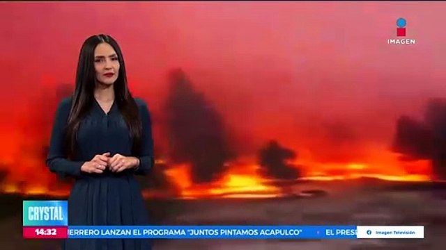 China envía dos pandas gigantes al Zoológico de San Diego