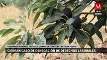 México y Estados Unidos concluyen el caso RV Fresh Foods de denegación de derechos laborales