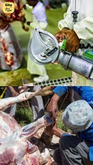 The Leather Industry || Acharya Prashant