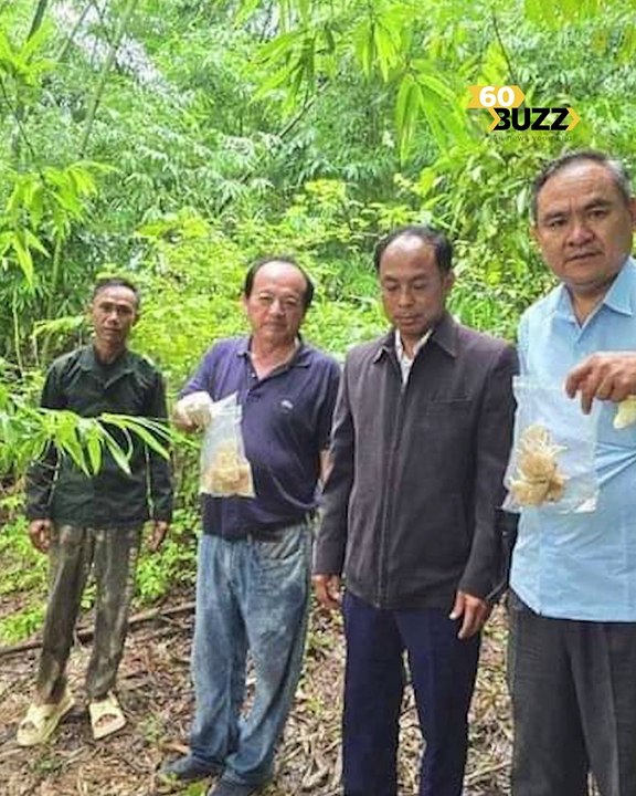 ក្រសួងសុខាភិបាល ប្រកាសឱ្យ​ប្រជាពលរដ្ឋ ​​បង្ការ​​បញ្ហា​សុខភាព​​​ ពាក់ព័ន្ធ​បរិភោគ​​​ផ្សិត​​ពុ--ល