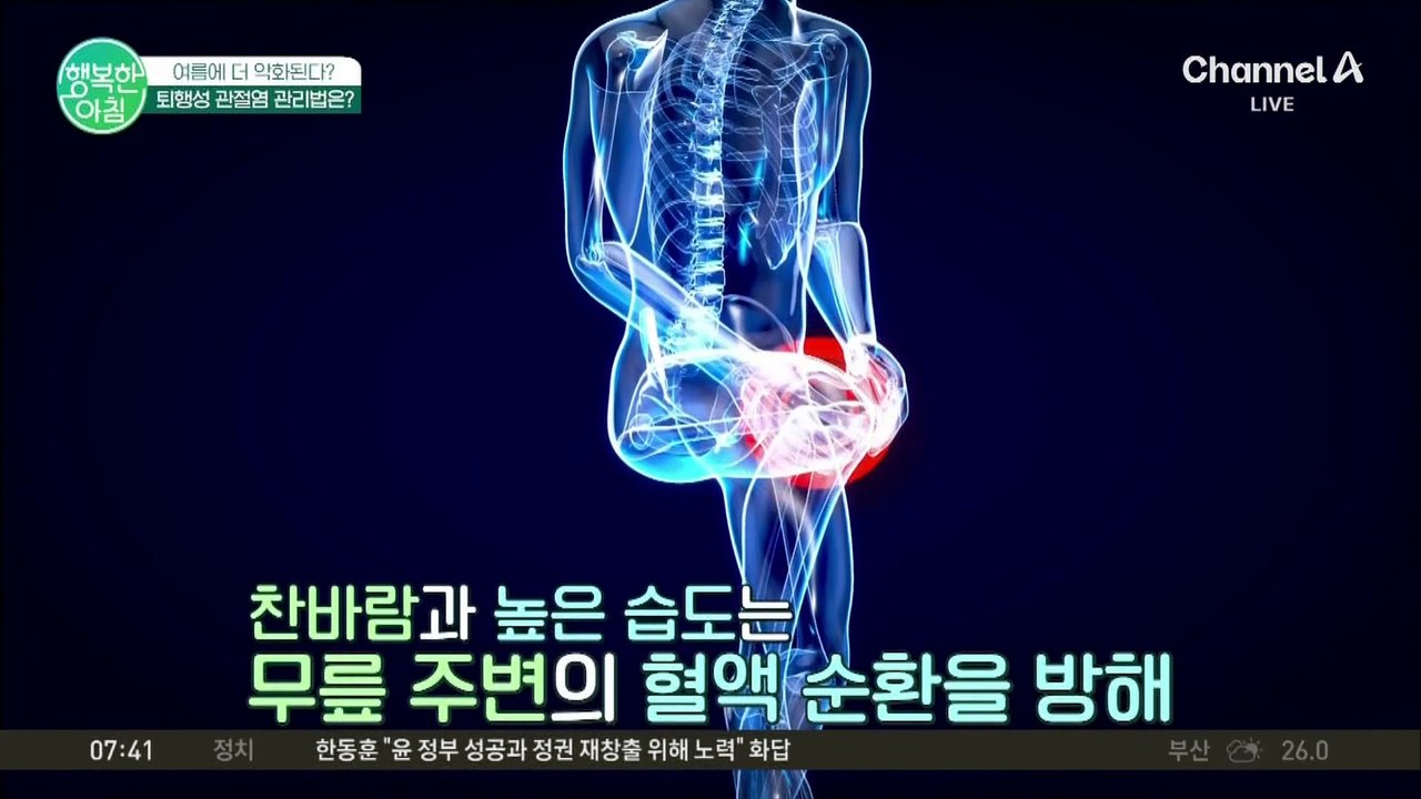 퇴행성 관절염, '괜찮겠지...' 버티다가 더 악화된다! 중년 관절염 관리법은? #퇴...