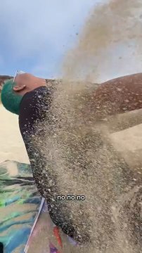 Dog Ruins Picnic by Covering Everyone in Sand