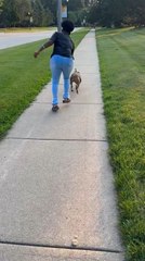 Woman's Attempt at Walking Dog Goes Hilariously Wrong