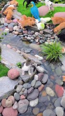 So cute this beautiful place