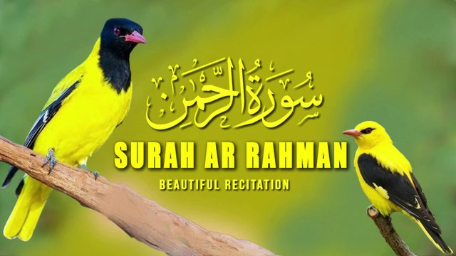 Surah Ar-Rahman | سورة الرحمن | Quran Tilawat | Recitation | Tilawat e Quran