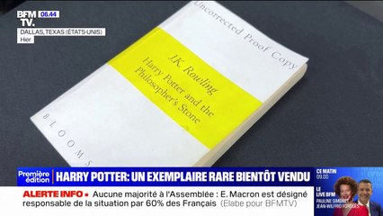 Un exemplaire non corrigé du premier tome de Harry Potter mis aux enchères