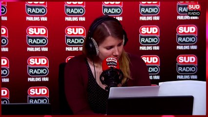 Une manifestation pour sauver Toto, un sanglier menacé d'euthanasie !
