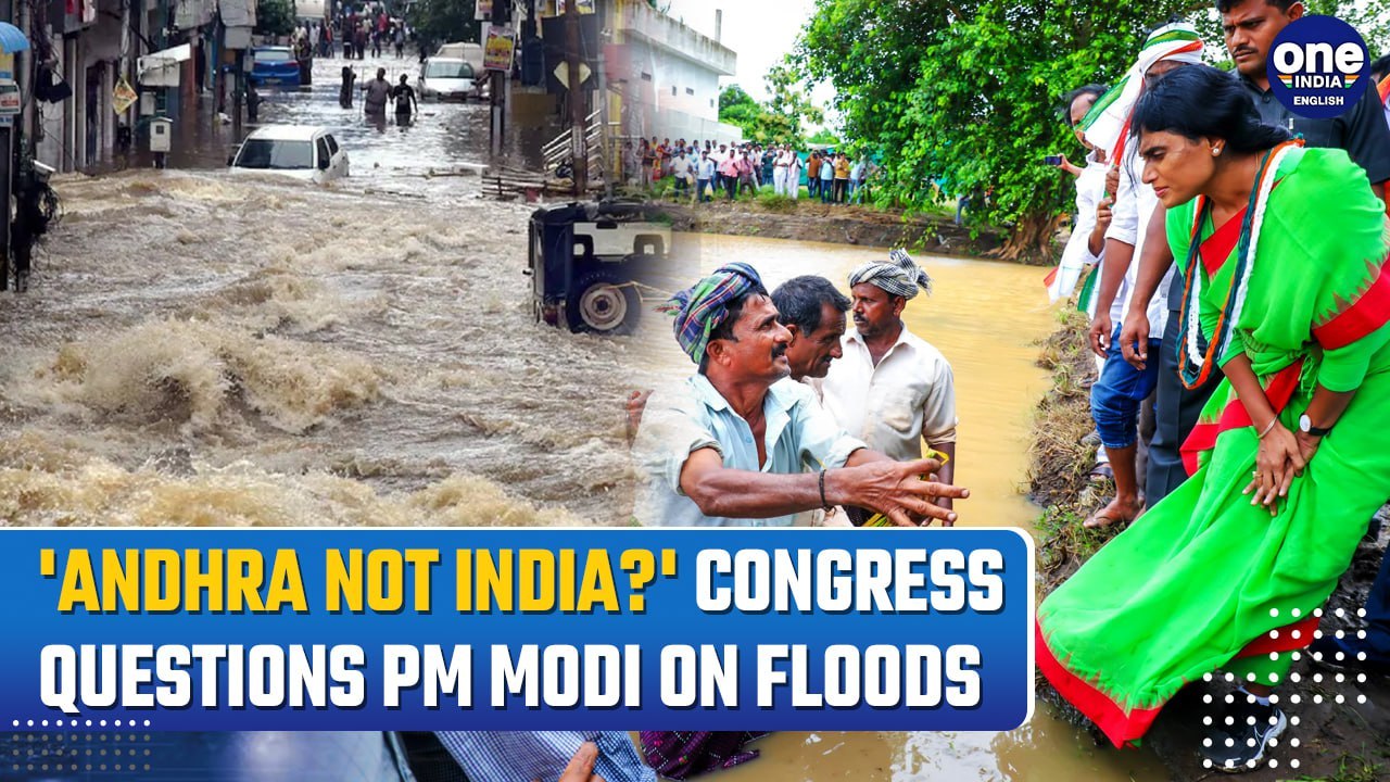 Andhra Floods: Congress Leader YS Sharmila Visits Flood-Affected Areas In State, Questions PM Modi