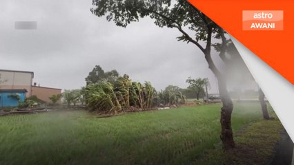 Taufan Gaemi sebabkan Taiwan tutup sekolah, batal penerbangan