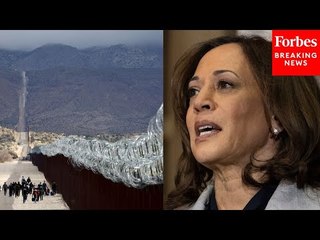 Top Dems Asked About The Republican Attack On 'Border Czar' Kamala Harris