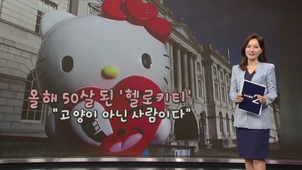 50살 맞은 '헬로키티', "고양이가 아닌 사람입니다" [앵커리포트] / YTN