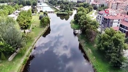 Porsuk Çayı'nda tedirgin eden görüntü