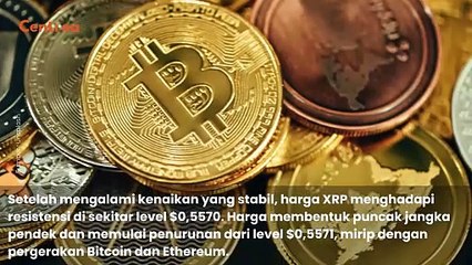 Harga XRP Kembali Melemah, Simak Langkah Berikutnya untuk Kripto Ini!