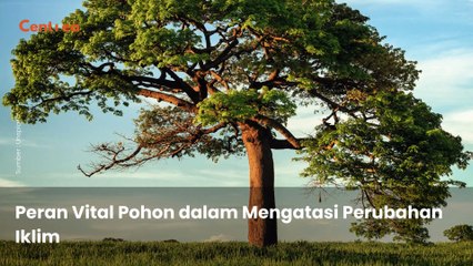 Peran Vital Pohon dalam Mengatasi Perubahan Iklim