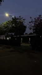 Johny Sins and Mia Khalifa Motivational Video