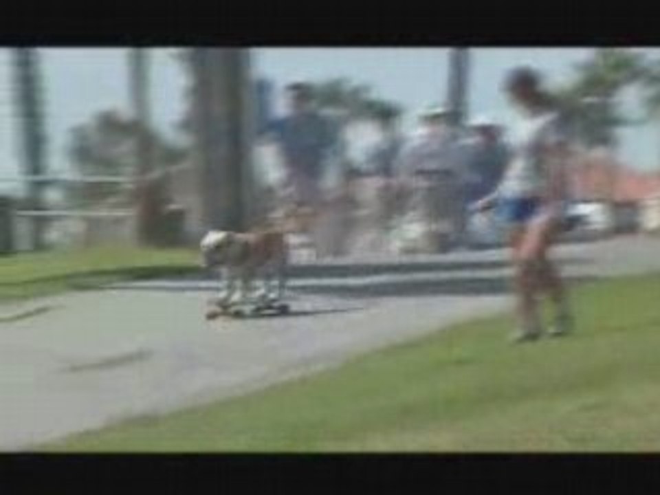 Bulldogopskateboard