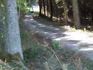 Avant Fut d'Avenas Robert Clio R3