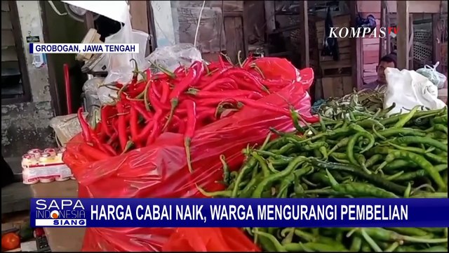 Harga Cabai Naik Jadi Berkah Bagi Buruh Petik di Kulon Progo, Upah Ikut Naik!