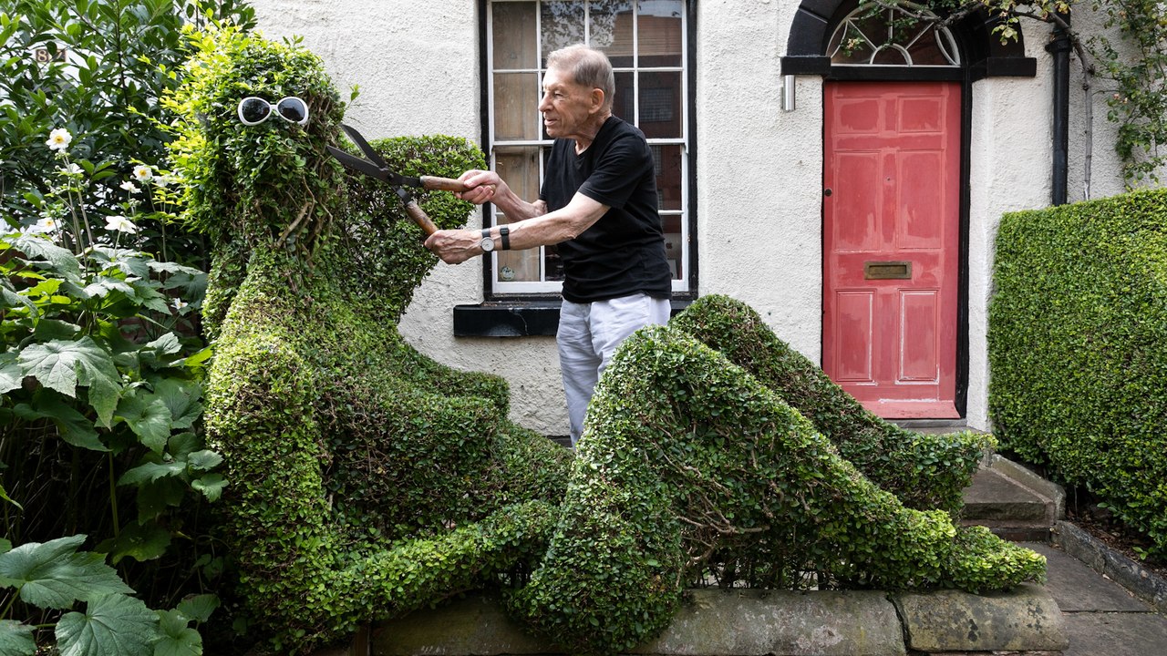 Man spends 20 years cutting hedge in his garden into shape of a naked lady