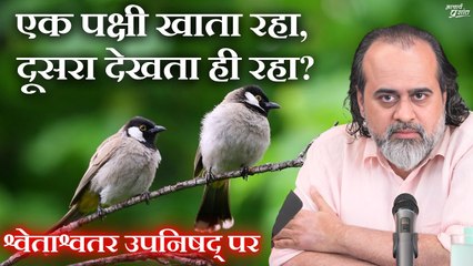 एक पक्षी खाता रहा, दूसरा देखता ही रहा   आचार्य प्रशांत, श्वेताश्वतर उपनिषद् पर (2020)