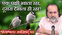 एक पक्षी खाता रहा, दूसरा देखता ही रहा   आचार्य प्रशांत, श्वेताश्वतर उपनिषद् पर (2020)