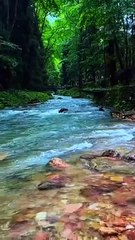 Green green grass #beautiful #beauty #green #garden# naturalbeauty933