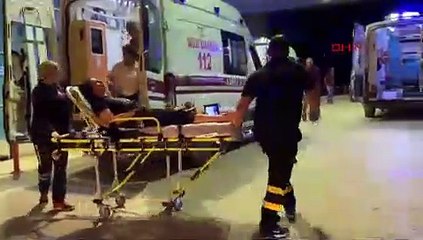 BURSA Anne ile kızı, kedilerini öldürdüğünü iddia ettiği baba-kız tarafından darbedildi