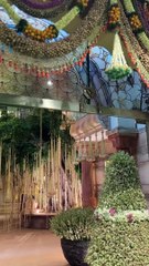 Decor at Anant-Radhika's Wedding Ceremony ✨   #AnantRadhikaCelebration #ARWeddingCelebrations #AnantRadhikaWedding #anantandradhika #anantambaniwedding #anantwedsradhika #AnantRadhika #radhikamerchant #anantambaniradhikamerchantwedding #AnantRadhikaWeddin