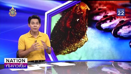 ดราม่า"ปลาหมอคางดำ"โรงอาหารรัฐสภา| เนชั่นทันข่าวเย็น | 25 ก.ค. 67 | PART 2