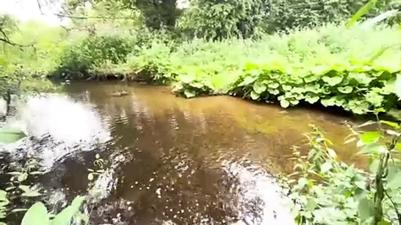 River in a quiet market town near Birmingham