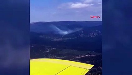 Balıkesir'de orman yangını