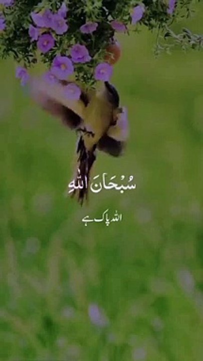 Islamic status 2024