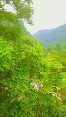 VID_1004060628_053316_879