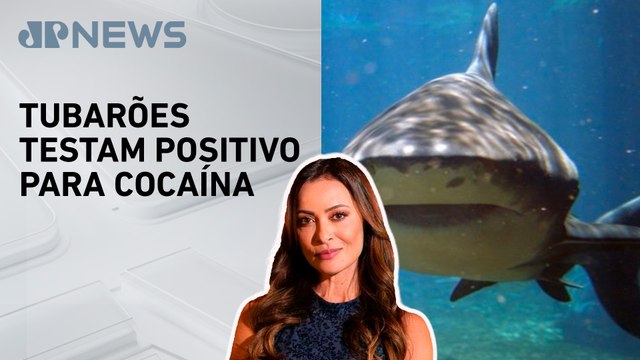 Como contaminação de peixes afeta saúde humana? Patrícia Costa explica