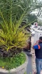 Soykırım destekçisi Starbucks ve McDonalds'tan büyük küstahlık! Protestoculara dava açıyorlar