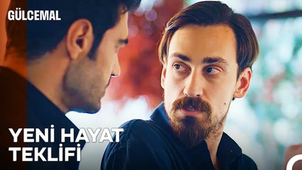 Bu Evden Kurtulmak İçin Son Şansın Mert - Gülcemal