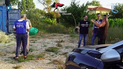 Inps, controllate 109 aziende agricole: 57% irregolari