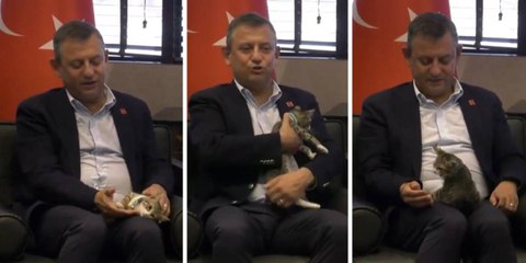 Özgür Özel, 'Patican' kediyi sevdi: Kimden kuru mama, kimden köfte gelecek anlıyor