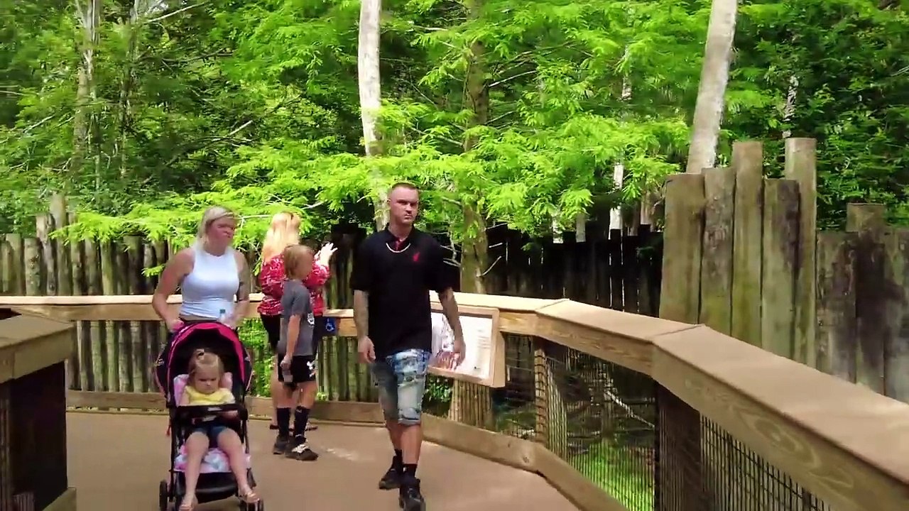 Florida Homosassa Springs Wildlife State Park. Virtual Tour. Travel Video