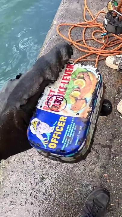 Que renferme la Seine ?