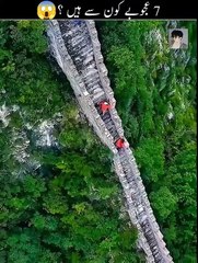 "Knowledge Hub: Your Gateway to Informative Content"