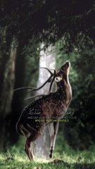 Ya Allah hame jahanam ke azab SE bachana ☝️❤️